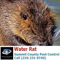 Summit County Pest Control image 21