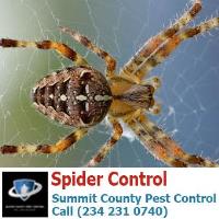 Summit County Pest Control image 22