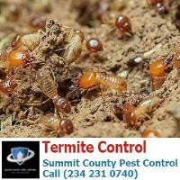 Summit County Pest Control image 24