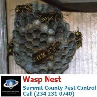 Summit County Pest Control image 25