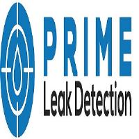 Prime leak detection image 1