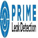 Prime leak detection logo