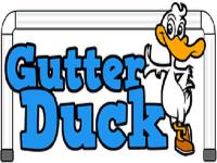 Gutter Duck image 1