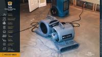 Tulip Carpet Cleaning Odenton image 3