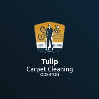 Tulip Carpet Cleaning Odenton image 4