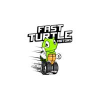 Fast Turtle Motors image 1