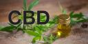 The CBD Dosage logo