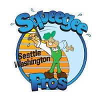 Squeegee Pros image 1