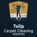 Tulip Carpet Cleaning Eldersburg image 5