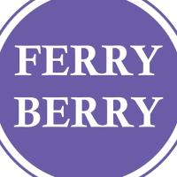 FerryBerry image 1