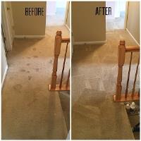 Carpet Cleaning Charlottesville image 3