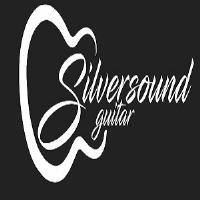 Silversound Guitar image 1
