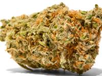 Weed-Crew - High Quality Marijuana To Buy USA image 3