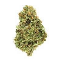 Weed-Crew - High Quality Marijuana To Buy USA image 4