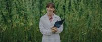 Weed-Crew - High Quality Marijuana To Buy USA image 10