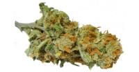 Weed-Crew - High Quality Marijuana To Buy USA image 15