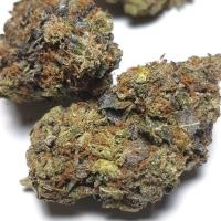 Weed-Crew - High Quality Marijuana To Buy USA image 16