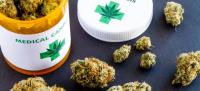 Weed-Crew - High Quality Marijuana To Buy USA image 7