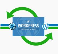 WordPress Update | WP Expert Support image 1