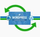 WordPress Update | WP Expert Support logo