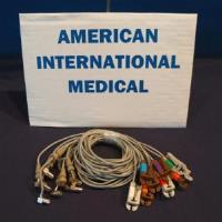 American International Medical image 11