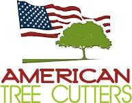 American Tree Cutters, Tree Removal Service Palm  image 2