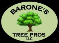 Barone's Tree Pros LLC image 1