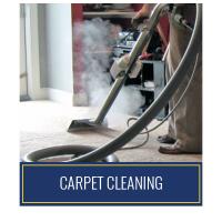 Rapid Dry Carpet Cleaning & Restoration Services image 2