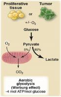 aerobic glycolysis warburg effect image 1