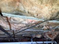 RALEIGH MOLD-Crawl Space Mold Removal Companies  image 4