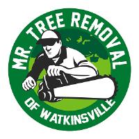 Mr. Tree Removal of Watkinsville image 1