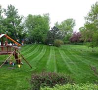 Champlin Lawn, Landscaping & Irrigation image 3