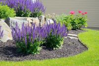 Champlin Lawn, Landscaping & Irrigation image 4