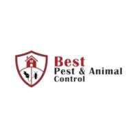Best Pest & Animal Control image 1