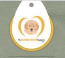 My Golden Retriever Puppies logo