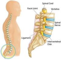 Lower Left And Right Side Back Pain image 1