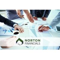 Norton Financials image 3