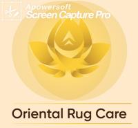 Oriental Rug Care image 1