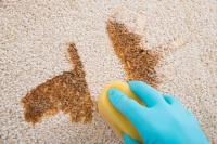 Mt Juliet Carpet Cleaning image 1