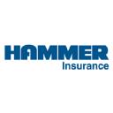 Hammer Insurance Servicesss logo
