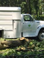 Timber Pros Tree Care image 3