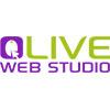 Olive Web Studio image 1