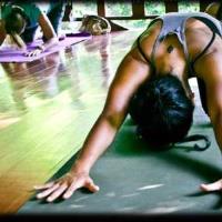 Yin Yoga teacher Training image 2