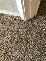 Eco-Green Carpet & Tile Cleaning image 4