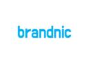 Brandnic LLC logo