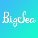 Big Sea logo