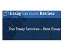 ReviewEssayService logo