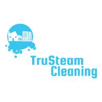 TruSteam Cleaning image 1