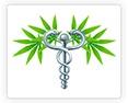 Medical Marijuana of Florida logo