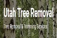Utah Tree Removal image 1